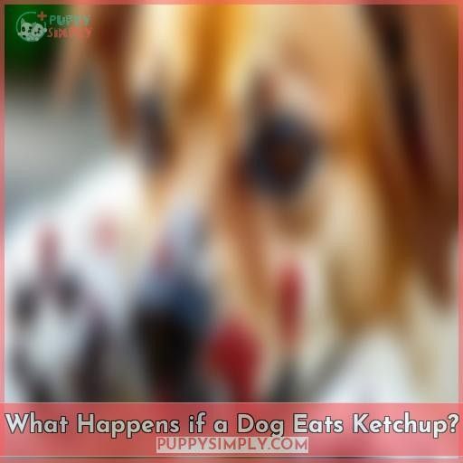 What Happens if a Dog Eats Ketchup