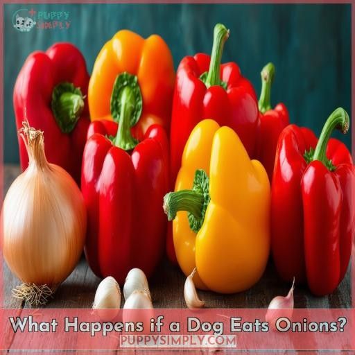 What Happens if a Dog Eats Onions