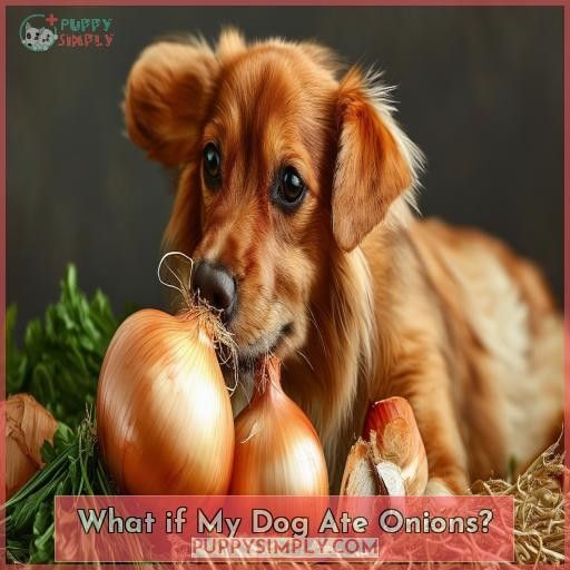 What if My Dog Ate Onions