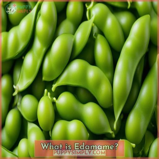 What is Edamame