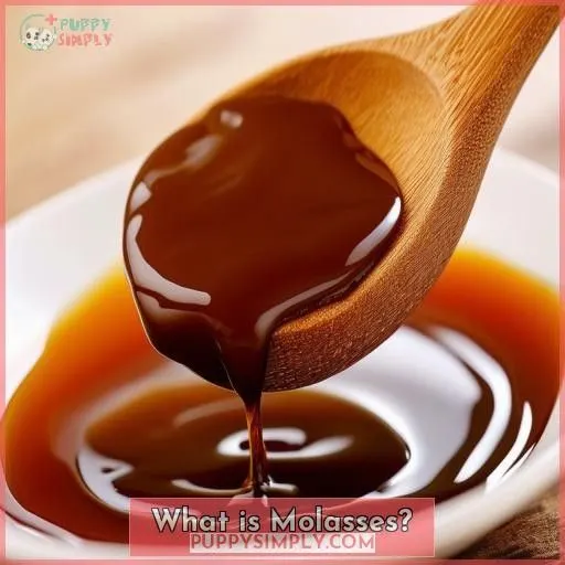 What is Molasses