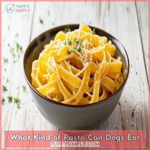 What Kind of Pasta Can Dogs Eat