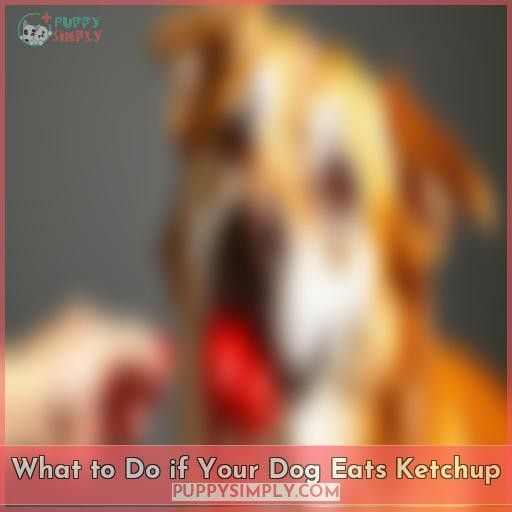 What to Do if Your Dog Eats Ketchup