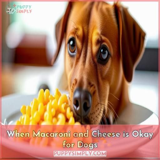 When Macaroni and Cheese is Okay for Dogs