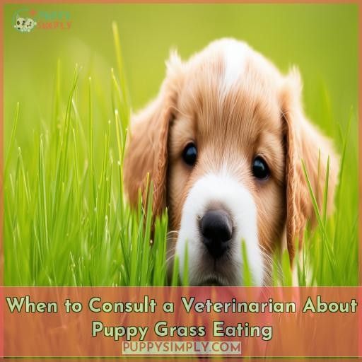 When to Consult a Veterinarian About Puppy Grass Eating