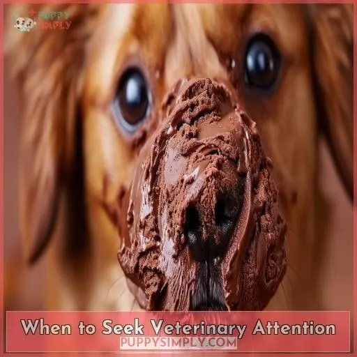 When to Seek Veterinary Attention