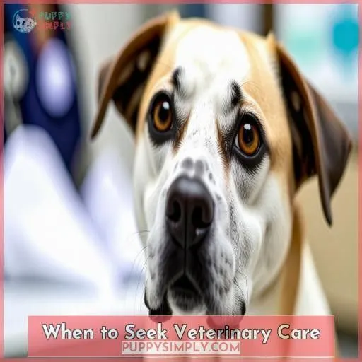 When to Seek Veterinary Care