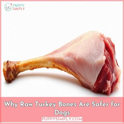 Why Raw Turkey Bones Are Safer for Dogs