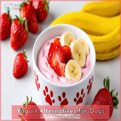 Yogurt Alternatives for Dogs