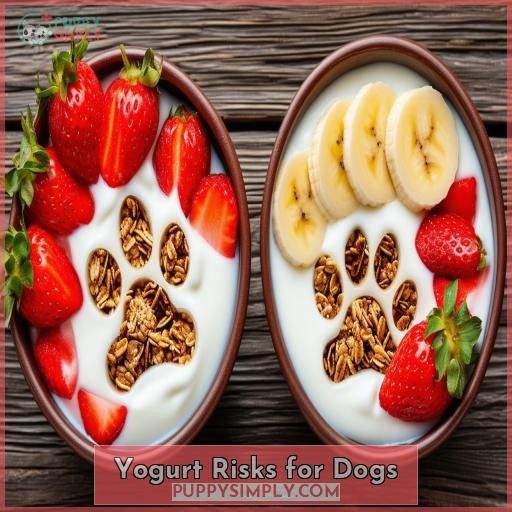 Yogurt Risks for Dogs
