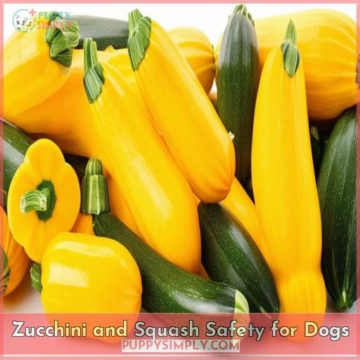 Zucchini and Squash Safety for Dogs