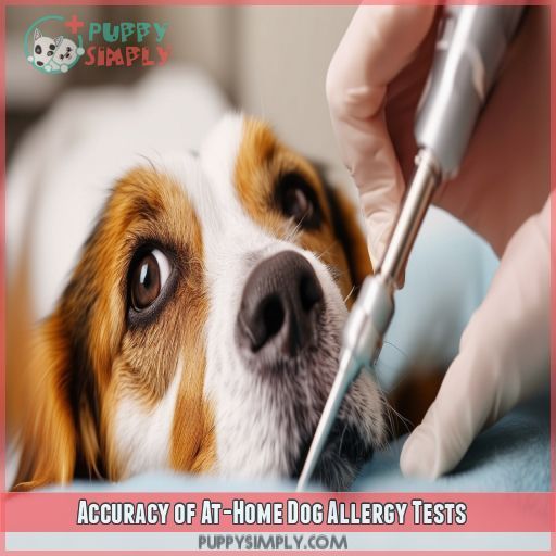 Accuracy of At-Home Dog Allergy Tests