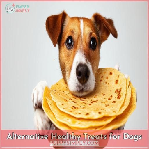 Alternative Healthy Treats for Dogs