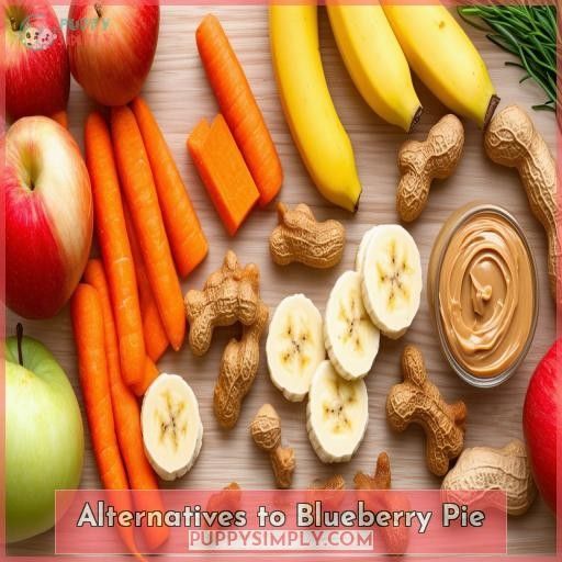 Alternatives to Blueberry Pie