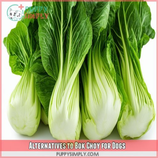 Alternatives to Bok Choy for Dogs