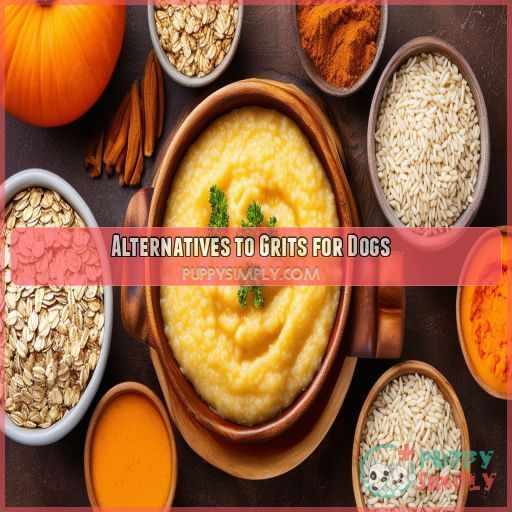 Alternatives to Grits for Dogs