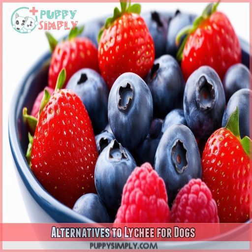 Alternatives to Lychee for Dogs