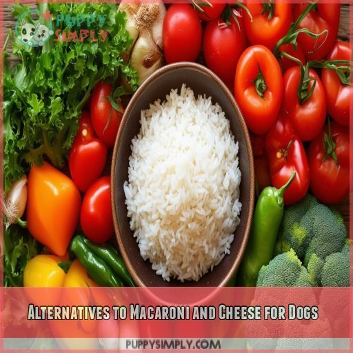 Alternatives to Macaroni and Cheese for Dogs