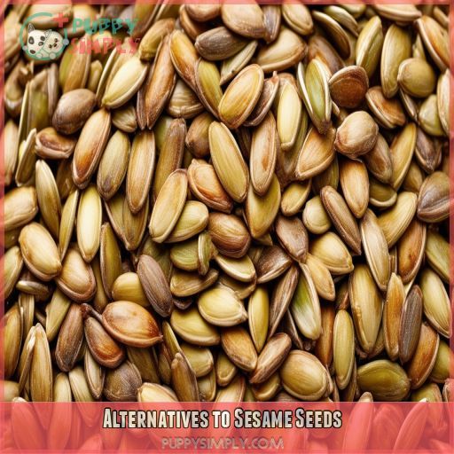 Alternatives to Sesame Seeds