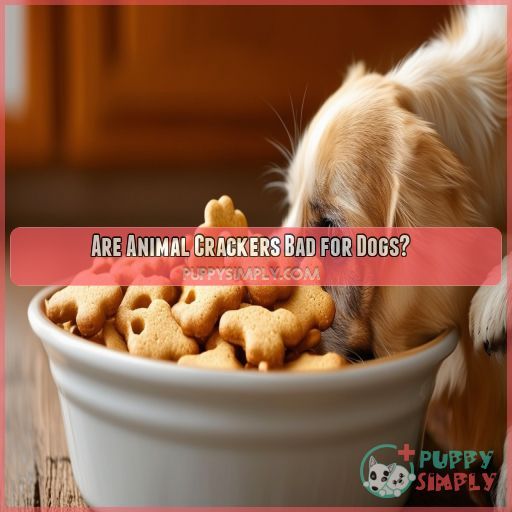 Are Animal Crackers Bad for Dogs