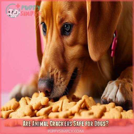 Are Animal Crackers Safe for Dogs