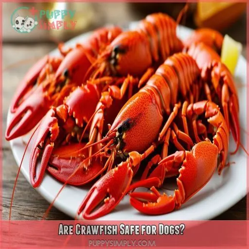 Are Crawfish Safe for Dogs