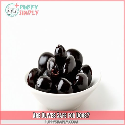 Are Olives Safe for Dogs