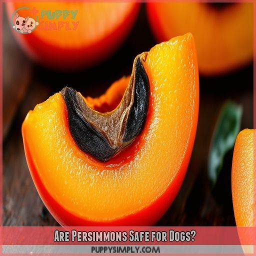 Are Persimmons Safe for Dogs