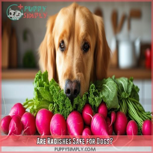 Are Radishes Safe for Dogs