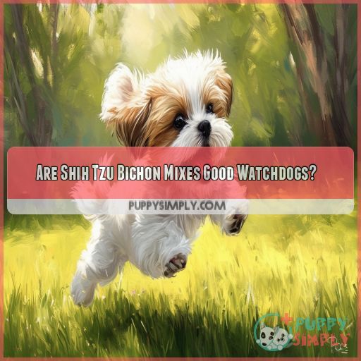 Are Shih Tzu Bichon Mixes Good Watchdogs