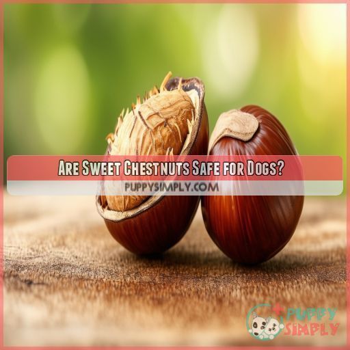 Are Sweet Chestnuts Safe for Dogs