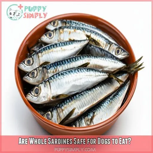 Are Whole Sardines Safe for Dogs to Eat