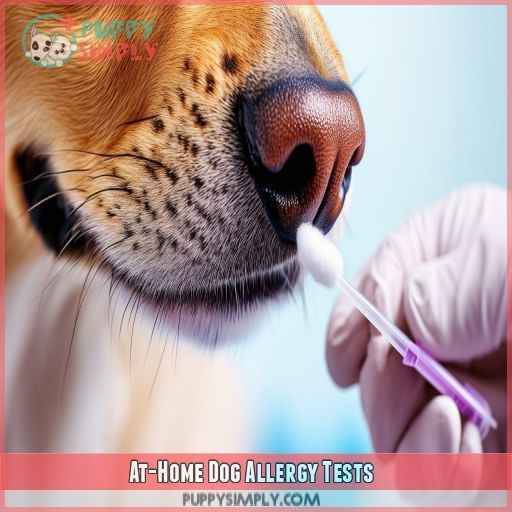 At-Home Dog Allergy Tests
