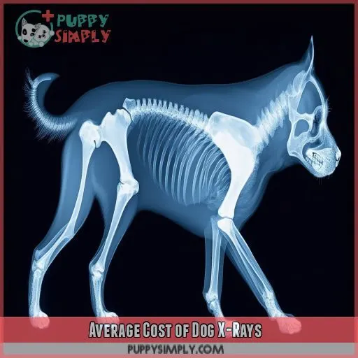 Average Cost of Dog X-Rays