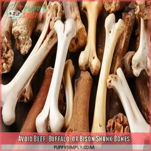 Avoid Beef, Buffalo, or Bison Shank Bones
