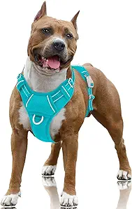 BARKBAY No Pull Dog Harness