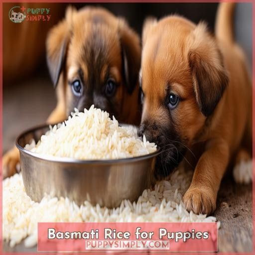 Basmati Rice for Puppies