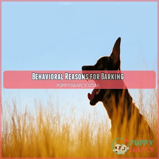 Behavioral Reasons for Barking