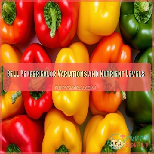 Bell Pepper Color Variations and Nutrient Levels