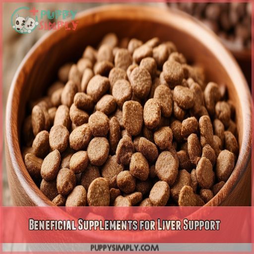 Beneficial Supplements for Liver Support