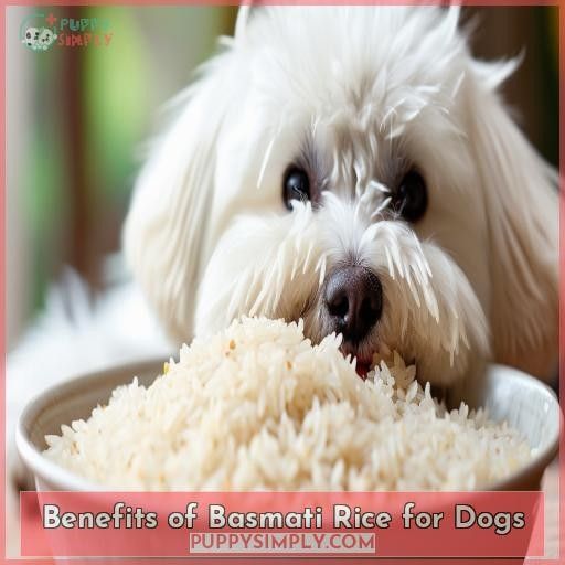 Benefits of Basmati Rice for Dogs