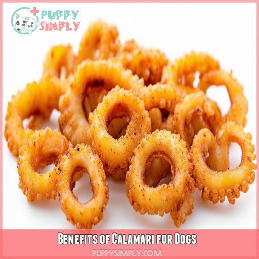 Benefits of Calamari for Dogs
