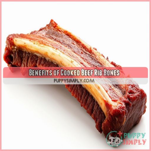 Benefits of Cooked Beef Rib Bones
