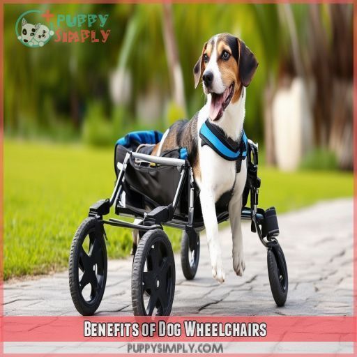 Benefits of Dog Wheelchairs