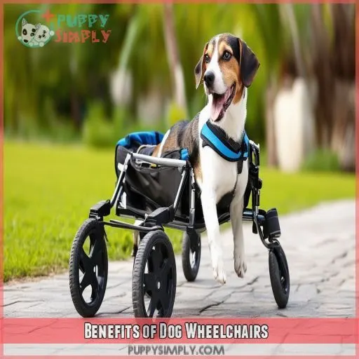 Benefits of Dog Wheelchairs