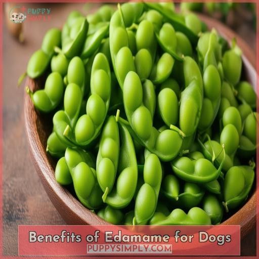Benefits of Edamame for Dogs