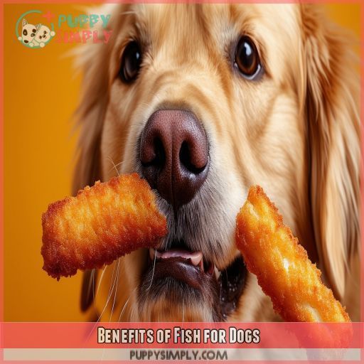 Benefits of Fish for Dogs
