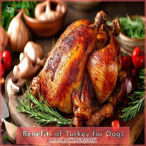 Benefits of Turkey for Dogs