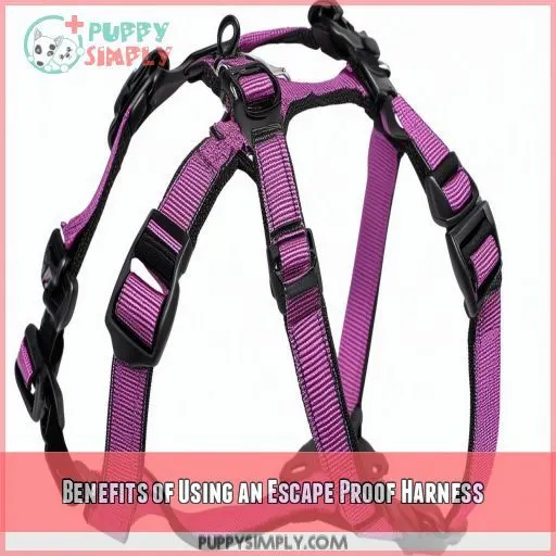 Benefits of Using an Escape Proof Harness