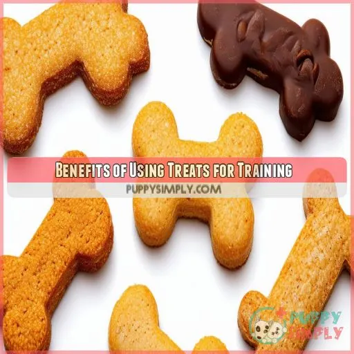 Benefits of Using Treats for Training